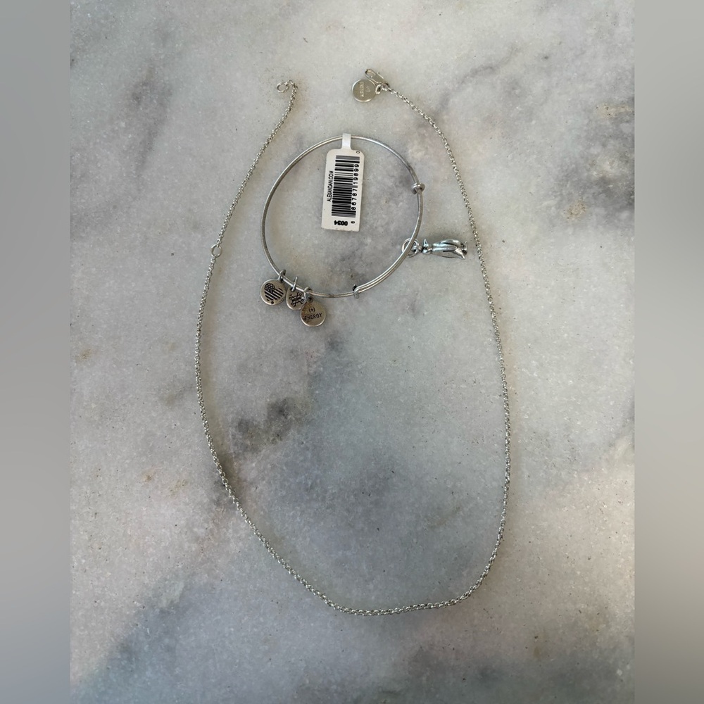 Alex and Ani Penguin charm bracelet and silver tone chain